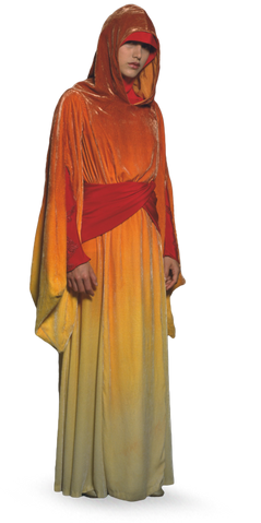 File:Naboo Royal Handmaiden.png