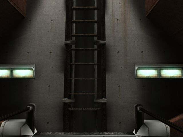 File:Sewerladder.jpg