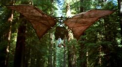 Ewok Glider1.jpg