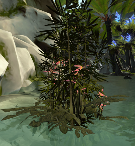 File:Kishu reed.png