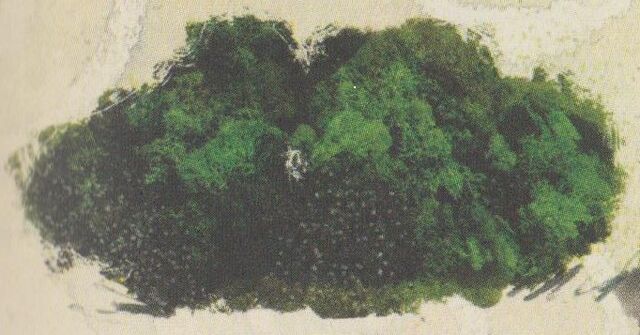 File:Moss.jpg