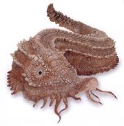 Duracreteslug.jpg