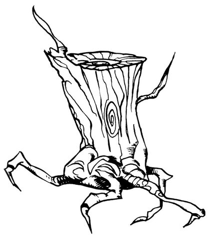File:Telkadis hiding tree spider.jpg