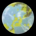 Miniatura della versione delle 18:36, gen 27, 2016