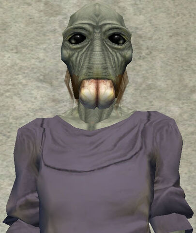 File:Mwaloob.jpg