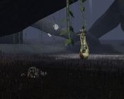 Shadowlands.jpg