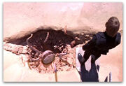 Sarlacc