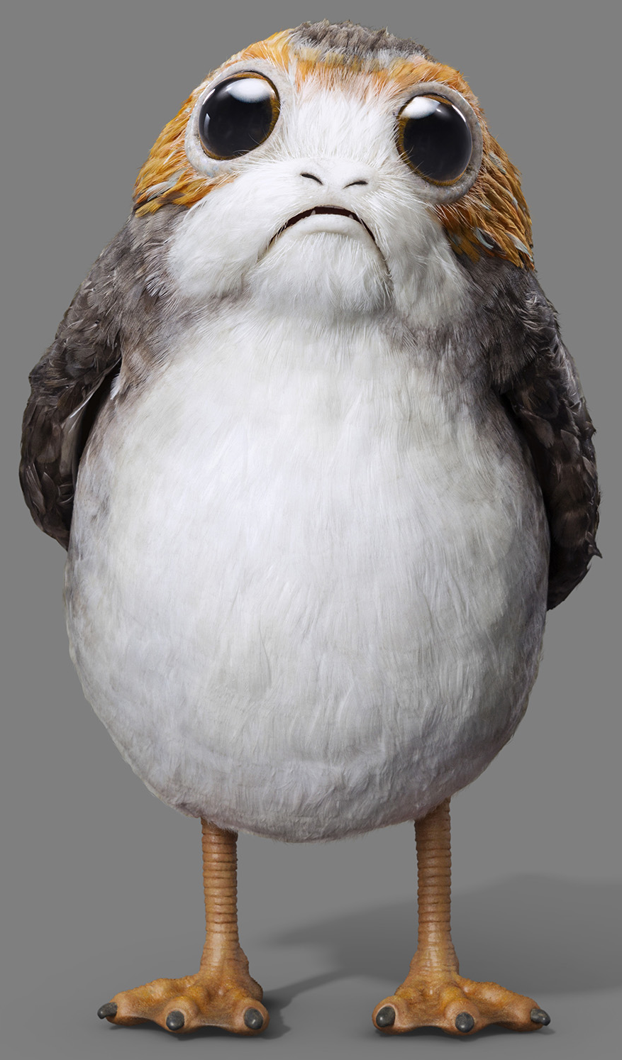 Image result for porg