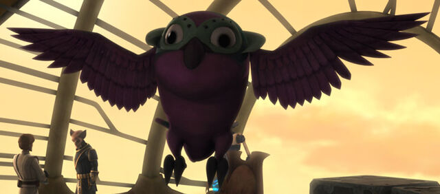 File:Unidentified Kiros bird.jpg
