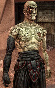 DSionkorriban-1-.jpg