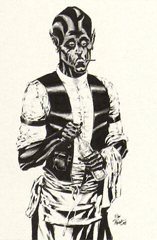 File:Finn.jpg