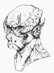 Gnullith