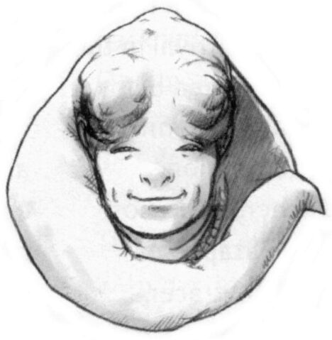 File:Ree G2.jpg