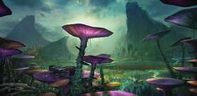 Felucia dawn.jpg