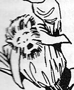 Ablon