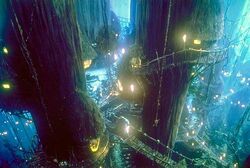 Ewok Village.jpg