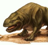 Dewback2.jpg