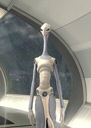 Taun We.jpg