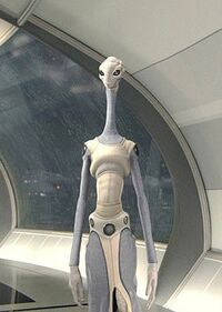 Taun We.jpg