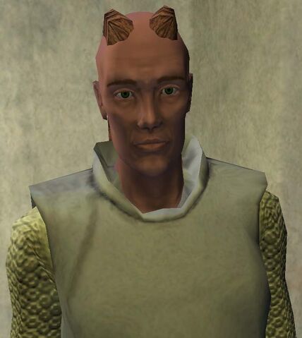 File:Skinkner.jpg