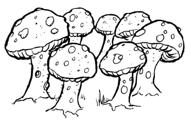 File:Snoruuk.jpg