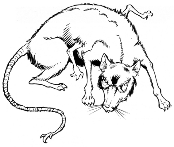 File:Eriaduan rat.png