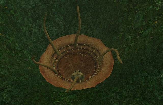 File:LesserSarlaccDathomir.jpg