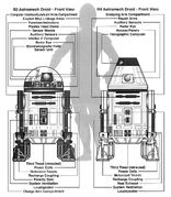 R3-R4 schema.jpg