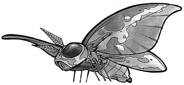 File:Moon Moth.png