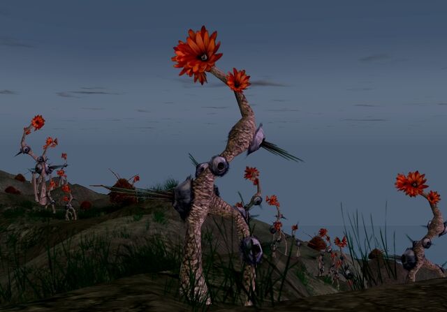 File:Raventhorn plant.jpg