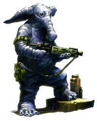 Ortolan AA.jpg