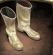 Issued Officer Boots