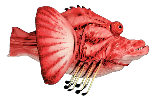 File:Tee scalefish.png