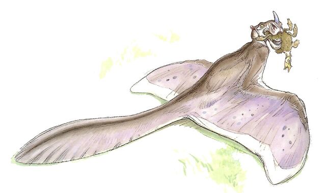File:Twirrl-woswfg.jpg