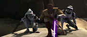 800px-Windu ARF.jpg