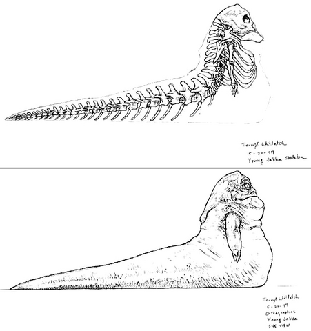 File:CA 17931794.png
