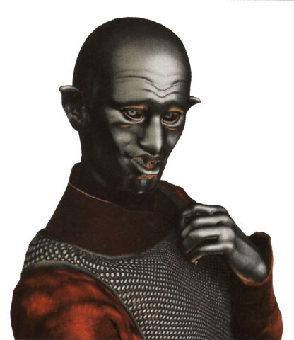 File:NaxyScreeger.jpg