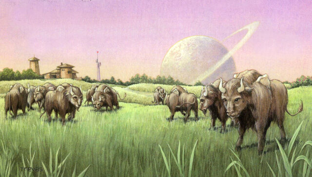 File:Taanab-staga-swkids.jpg