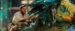 Obi Boga.jpg