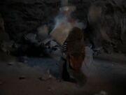 ChukhaDeath