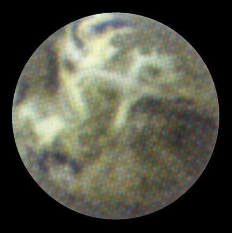 File:Reecee FF11.jpg
