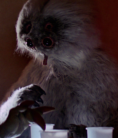 File:Muftak-ANH.png