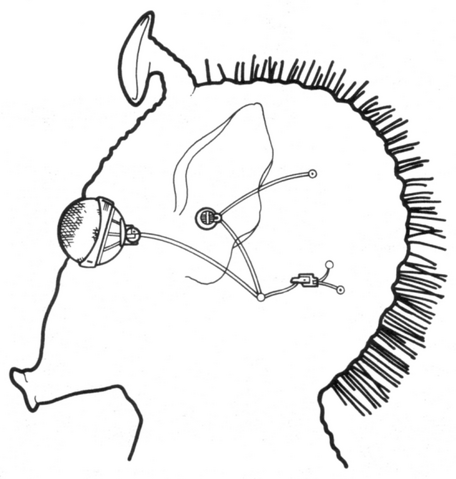 File:Hifold Sensory Package.png