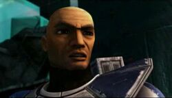 Rex face.jpg