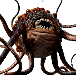 Brown-Rathtar-SWCT