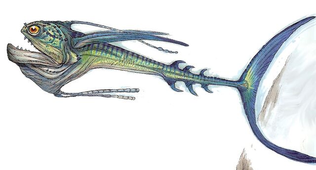 File:Ray-woswfg.jpg