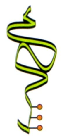 File:Neuro-Saav.jpg
