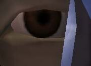 TitusSypkneeEye