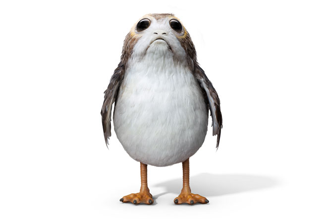 Porg | Star Wars Wiki | FANDOM powered by Wikia