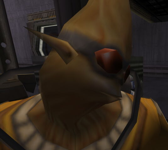 File:Everythinglookscoolerthroughafisheyelens.jpg